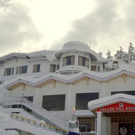 Galleu Hill Resort 西姆拉 外观 照片